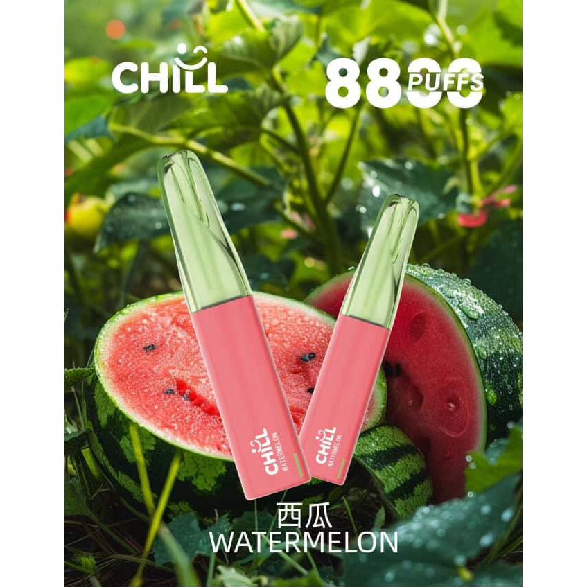 <p><strong>chill 鴨嘴獸 8800口<br />
拋棄式/一次性</strong></p>